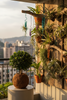 The Living Art Revolution: Kenya's Coco Fibre Kokedama