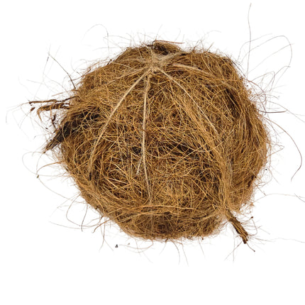 Coco Fibre for Orchid Mounting or Potting