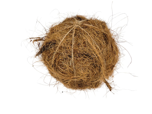 Coco Fibre for Orchid Mounting or Potting