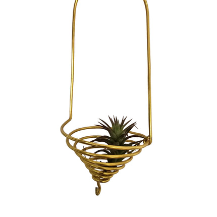 Modern Minimalist Basket Air Plant Hanger Medium - Various Color Options