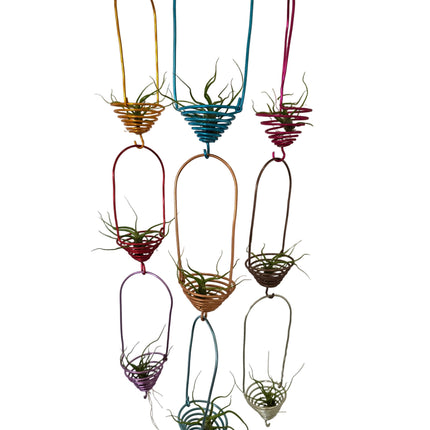 Colorful metal wall art with air plants 