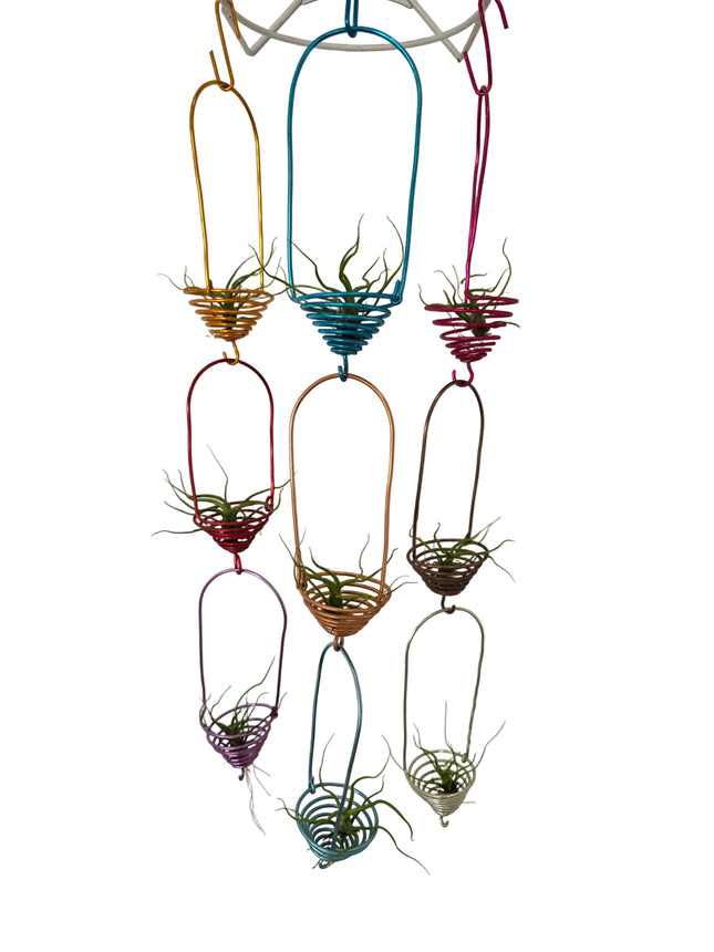 Colorful metal wall art with air plants 