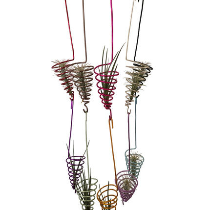 Colorful air plants hanging from a metal stand 