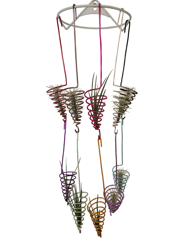 Colorful air plants hanging from a metal stand 