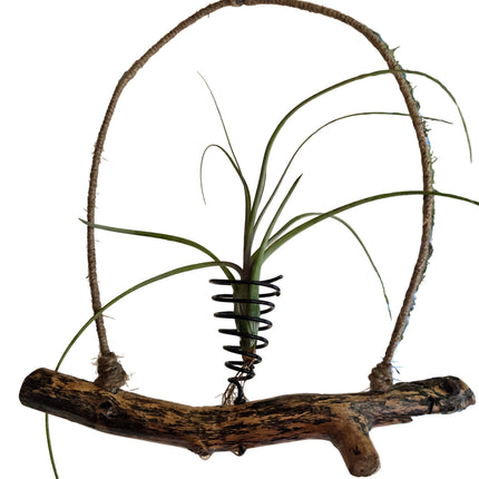 Hand Made in Kenya by TropicalOrchids254's team of Artisans