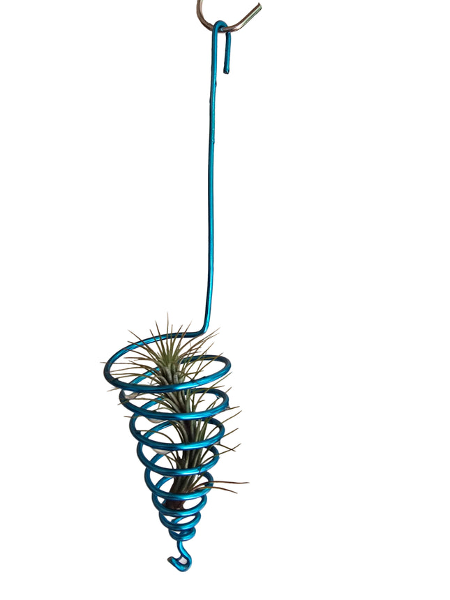 Air Plant Display Ideas Made in Kenya by TropicalOrchids254