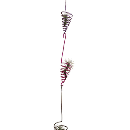 Multi Air Plant Hangers