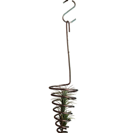 Air Plant Display Hanger - Made in Kenya by TropicalOrchids254