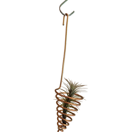 Air Plant Metal Wire Hanger Made in Kenya by TropicalOrchids254