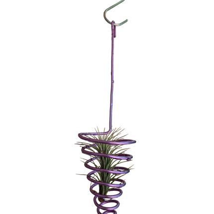 Lilac Metal Wire Air Plant Hanger - Made in Kenya by TropicalOrchids254