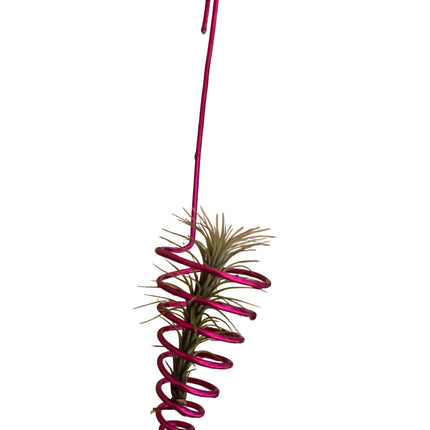 Metal Wire Air Plant Hanger - Made in Kenya by TropicalOrchids254