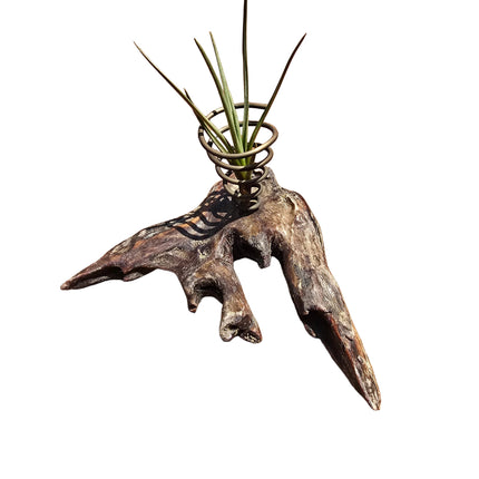 Hand made in Kenya by Air Plant Experts - TropicalOrchids254