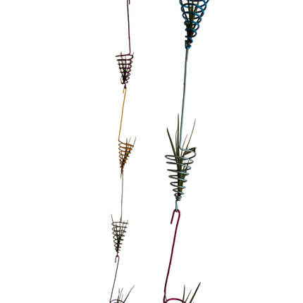 Air Plant Display Made In Kenya by TropicalOrchids254