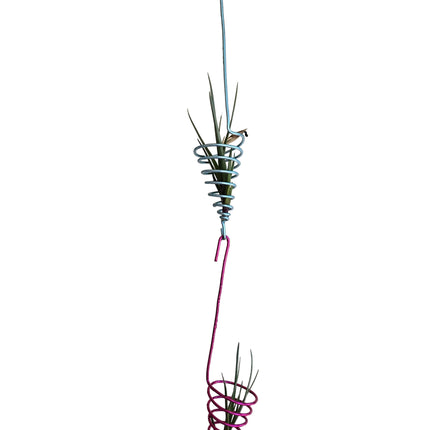 Air Plant Metal Wire Hanger Made In Kenya By TopicalOrchids254