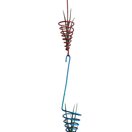 Air Plant Hanging Display