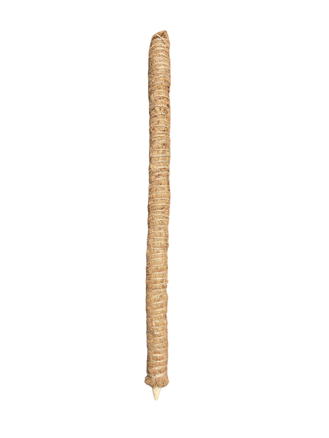 COCO FIBRE STAKING POST (MOSS STICKS) 100CMS