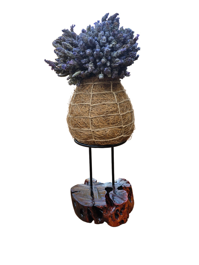 Dried Lavender Kokedama on Drift Wood Stand