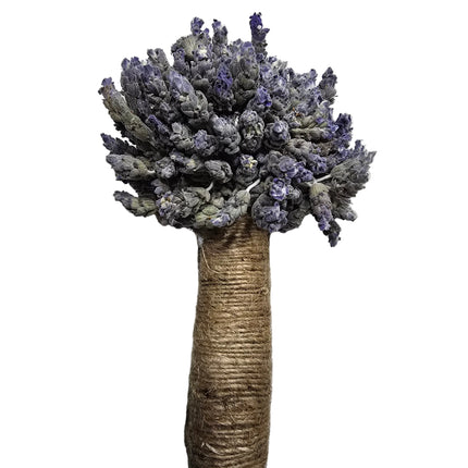 Dried French Lavender – Bundle of Happiness